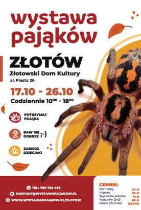 Wystawa pająków